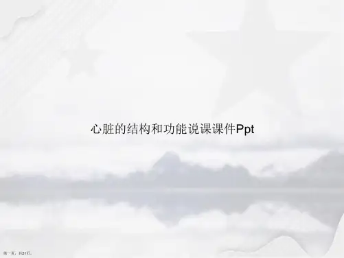 心脏的结构和功能说课Ppt讲课文档