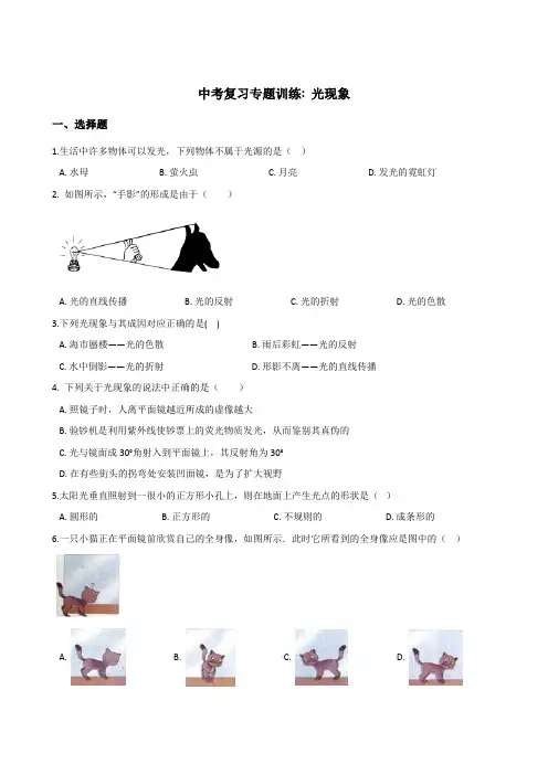 2018年中考物理总复习专题训练：光现象(含答案解析)