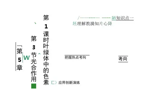 2018-2019学年高中生物北师大版必修一课件：第5章第3节第1课时叶绿体中的色素