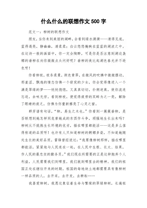 什么什么的联想作文500字_作文