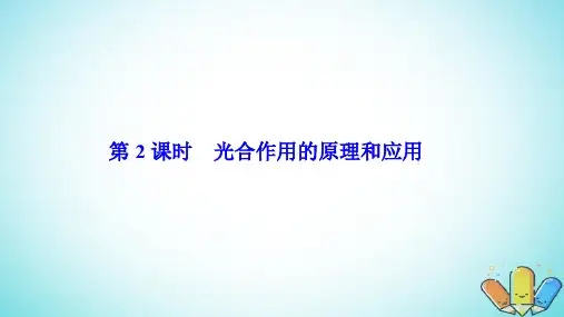高中生物第五章细胞的能量供应和利用第4节第2课时光合