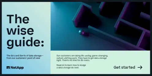 NetApp 数据存储指南说明书