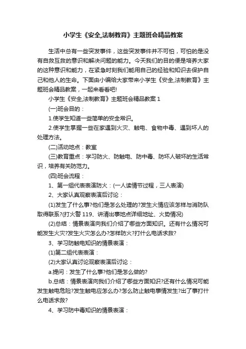 小学生《安全,法制教育》主题班会精品教案