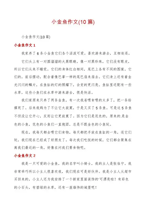 小金鱼作文(10篇)