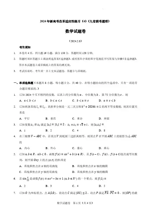 2024年新高考改革适应性练习(4)(九省联考题型)数学试题(含答案解析)