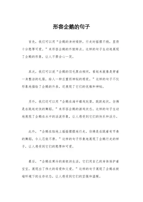 形容企鹅的句子