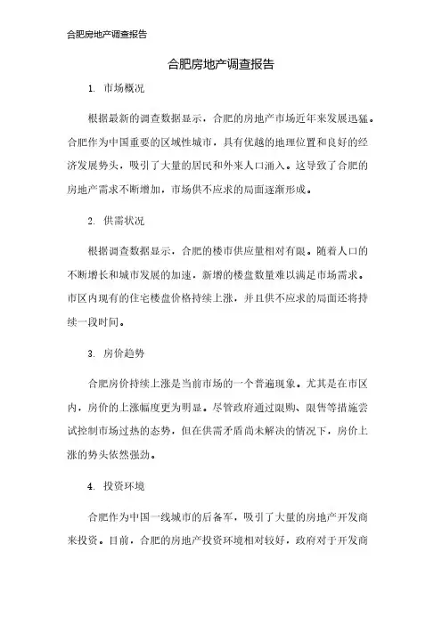 合肥房地产调查报告