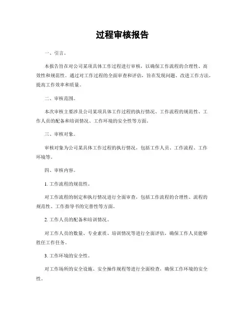 过程审核报告