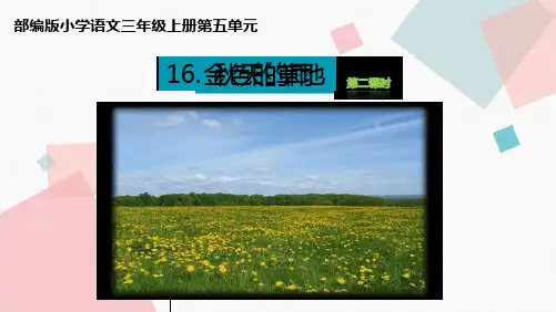 三年级上册语文课件 16金色的草地 第二课时 人教部编版