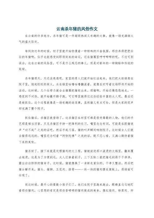 云南杀年猪的风俗作文