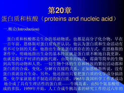 第20章 蛋白质和核酸(proteins and nucleic acid)