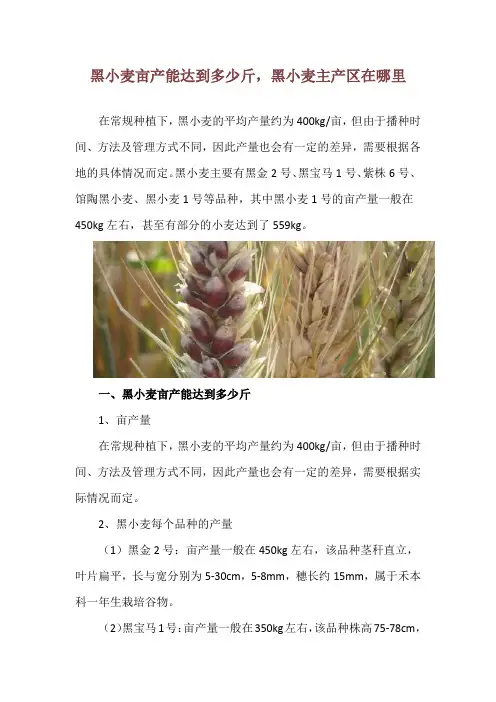 黑小麦亩产能达到多少斤,黑小麦主产区在哪里