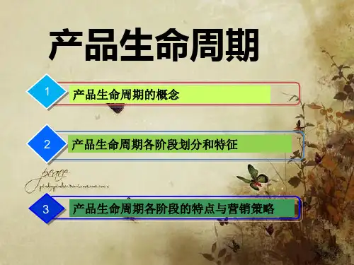 产品生命周期PPT全文