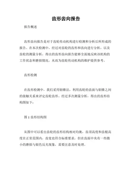 齿形齿向报告