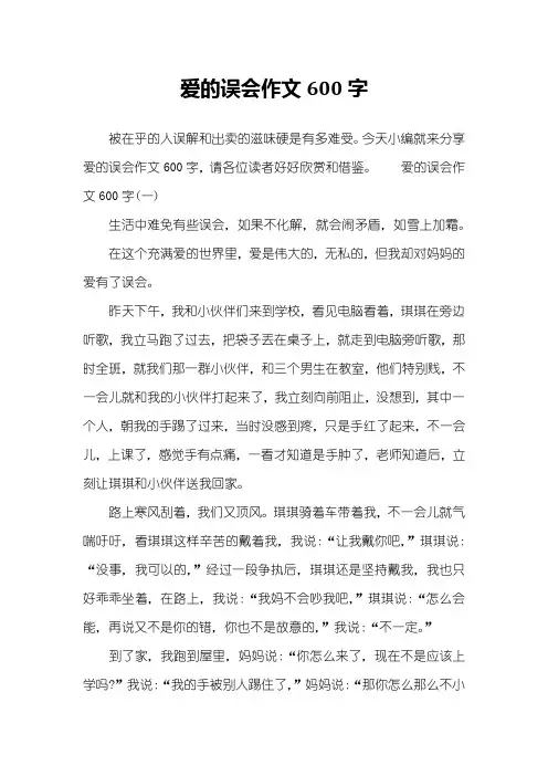 爱的误会作文600字
