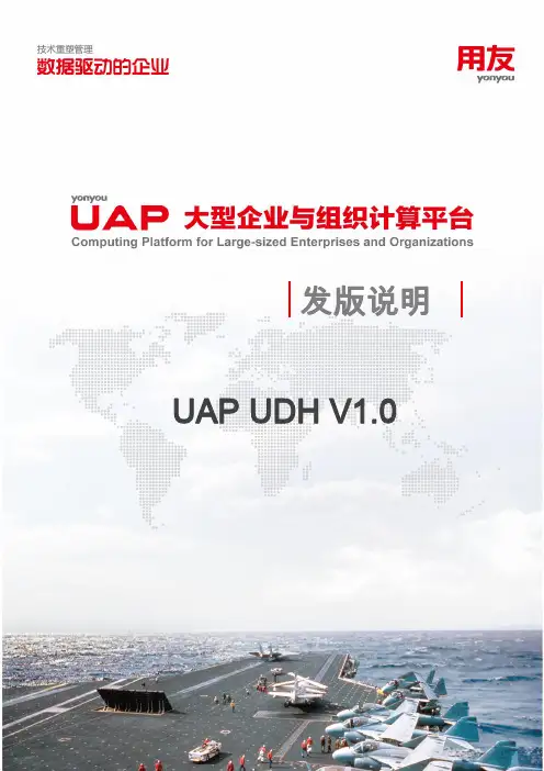 用友大型企业与组织计算平台产品手册说明书
