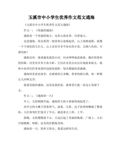 玉溪市中小学生优秀作文范文通海