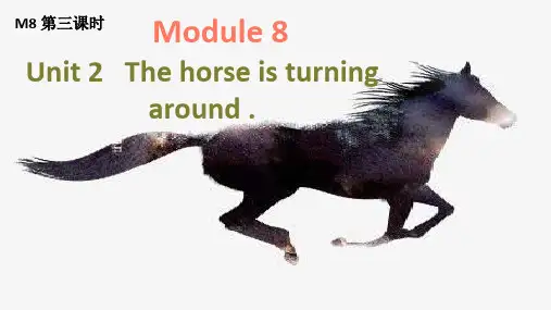 外研版(一年级起点)Module8Unit2Thehorseisturningaround.课件