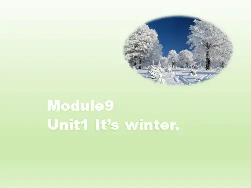 外研版(一起点)二年级英语上册Module9_Unit1教学课件