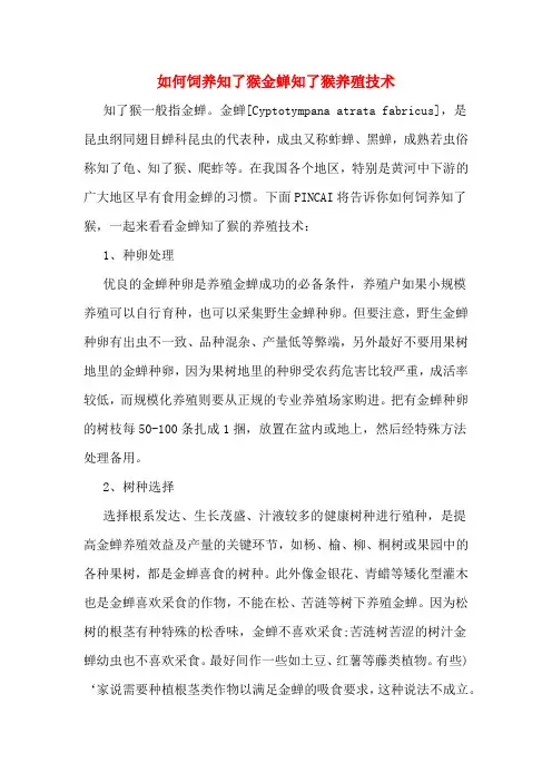 如何饲养知了猴金蝉知了猴养殖技术
