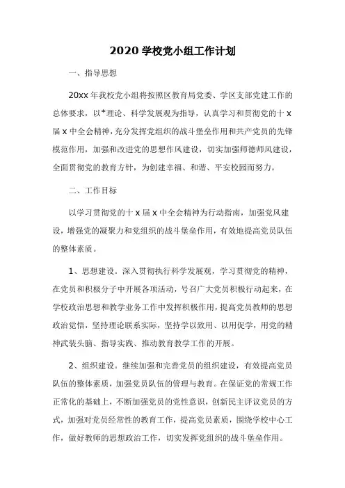 2020学校党小组工作计划