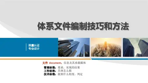 ISO9001体系文件编制技巧和方法-杨溢