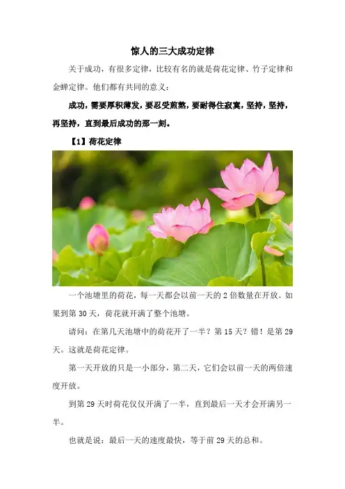 三大成功定律