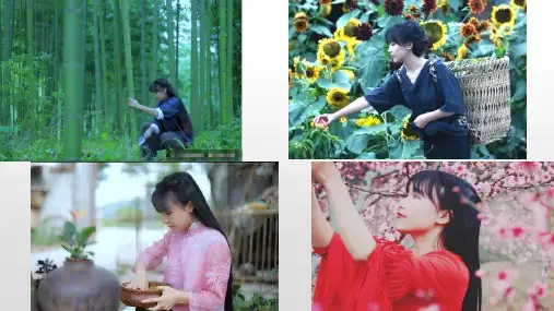 中国文化与李子柒课件
