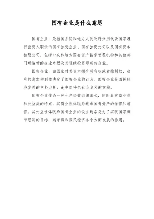 国有企业是什么意思