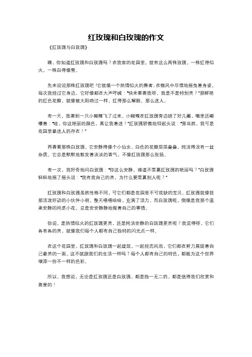 红玫瑰和白玫瑰的作文