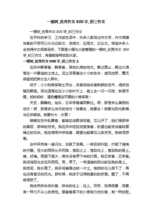 一棵树_优秀作文800字_初三作文