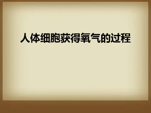 《人体细胞获得氧气的过程》PPT课件教学课件