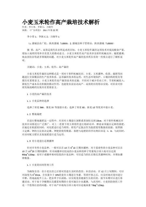 小麦玉米轮作高产栽培技术解析