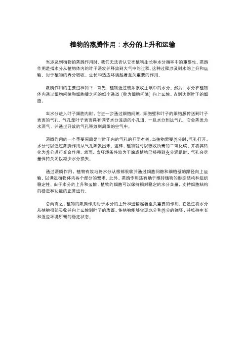 植物的蒸腾作用：水分的上升和运输