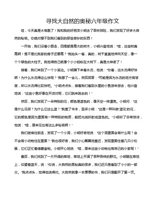 寻找大自然的奥秘六年级作文