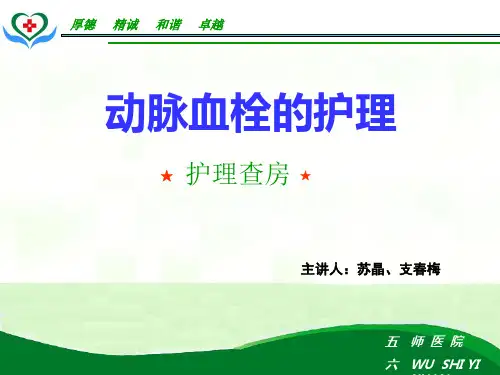 动脉血栓的护理查房-PPT文档资料