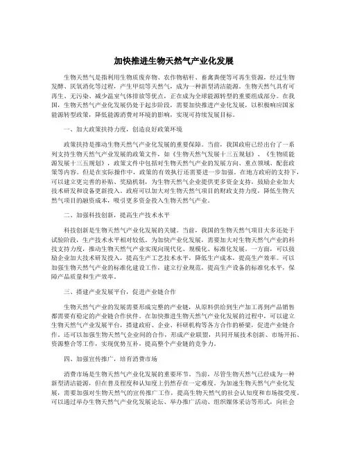 加快推进生物天然气产业化发展