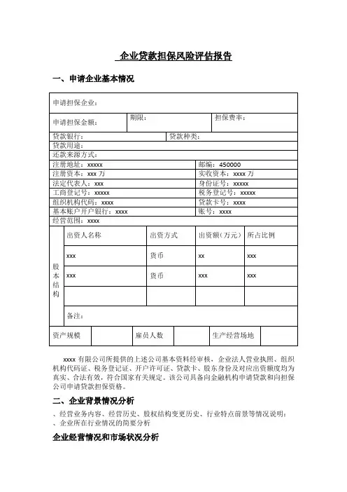 企业贷款担保风险评估报告(样本)