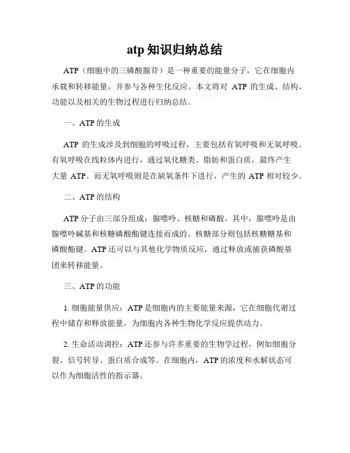 atp知识归纳总结