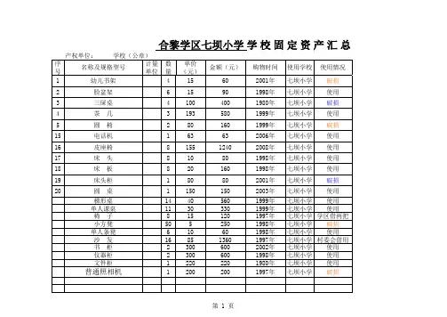 学校固定资产(样表)