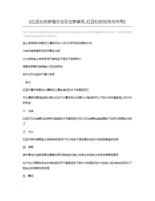 红豆杉的养殖方法及注意事项_红豆杉的功效与作用