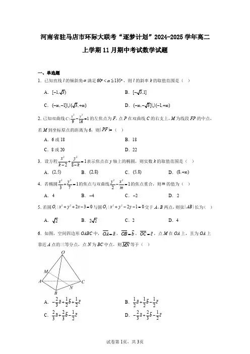河南省驻马店市环际大联考“逐梦计划”2024-2025学年高二上学期11月期中考试数学试题