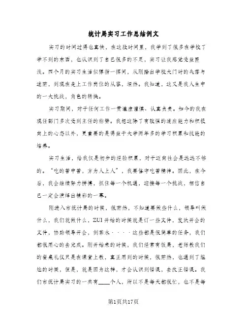 统计局实习工作总结例文(4篇)