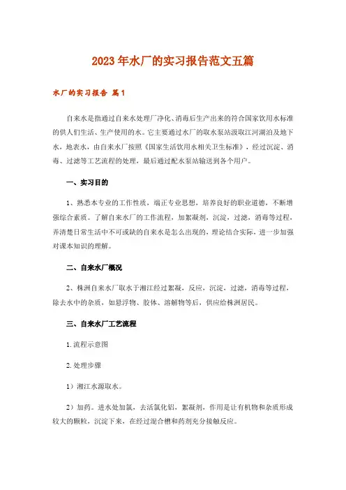 2023年水厂的实习报告范文五篇