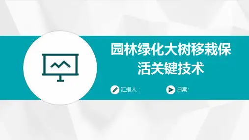 园林绿化大树移栽保活关键技术