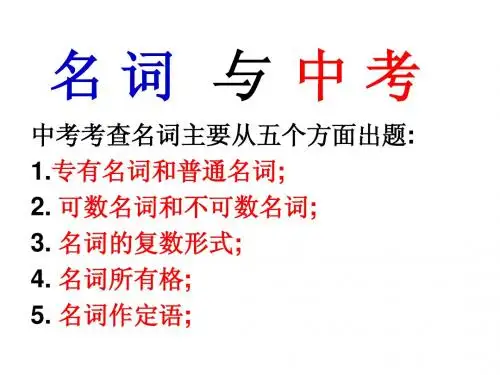 中考英语复习之名词