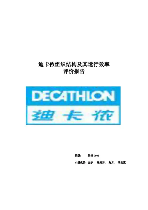 迪卡侬组织结构及其运行效率评价报告 2