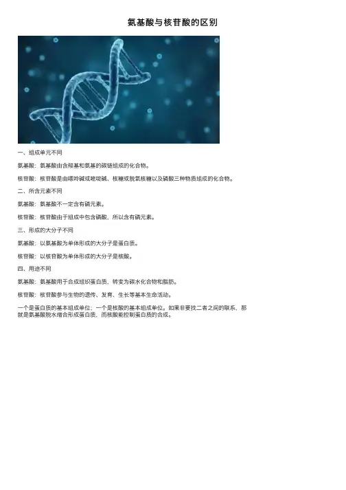 氨基酸与核苷酸的区别