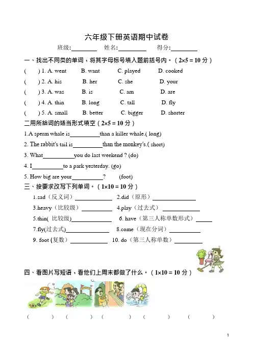(完整版)PEP小学六年级英语下册期中测试含答案(可编辑修改word版)