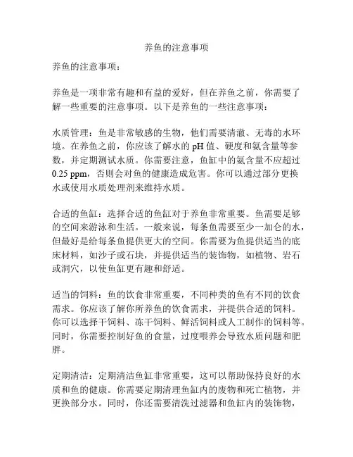 养鱼的注意事项